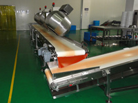 belt conveyor